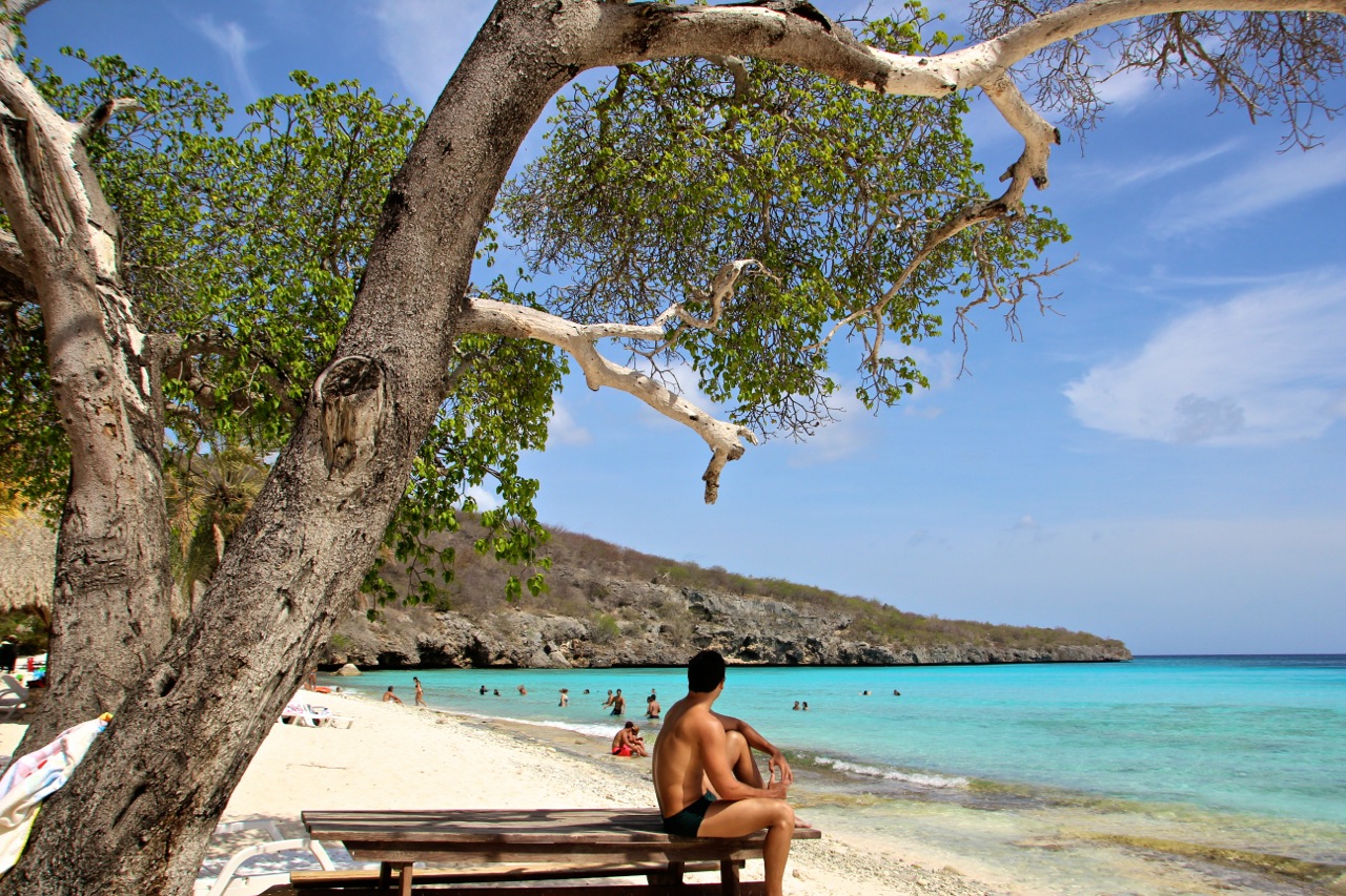 Onde fica Curaçao? O que fazer na ilha holandesa do Caribe? Preços, hotel,  voos, passeios e praias 